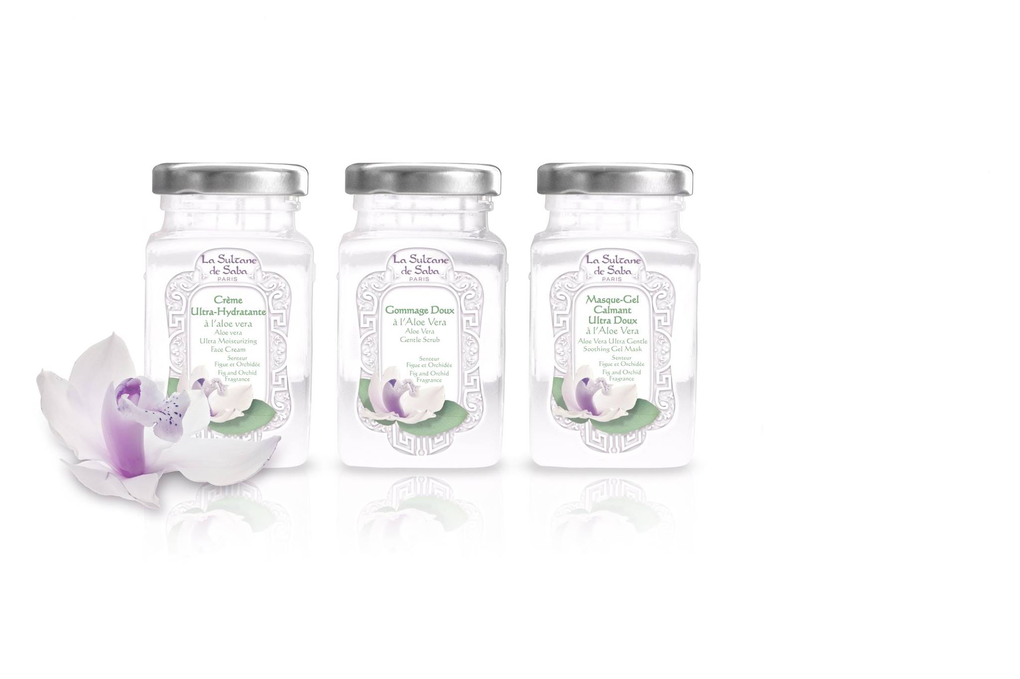 Gommage Visage Douceur à L'Aloe Vera – Figue & Orchidée – La Sultane De Saba