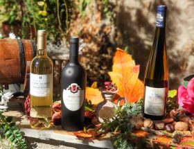 sélection de vins doux pour l'automne