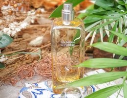 Un Jardin à Cythère : entre graminées, bois d'olivier et pistache fraîche, un parfum hors du commun