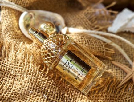 Acqua Allegoria Forte Bosca Vanilla, comme un air de vanille iodée  