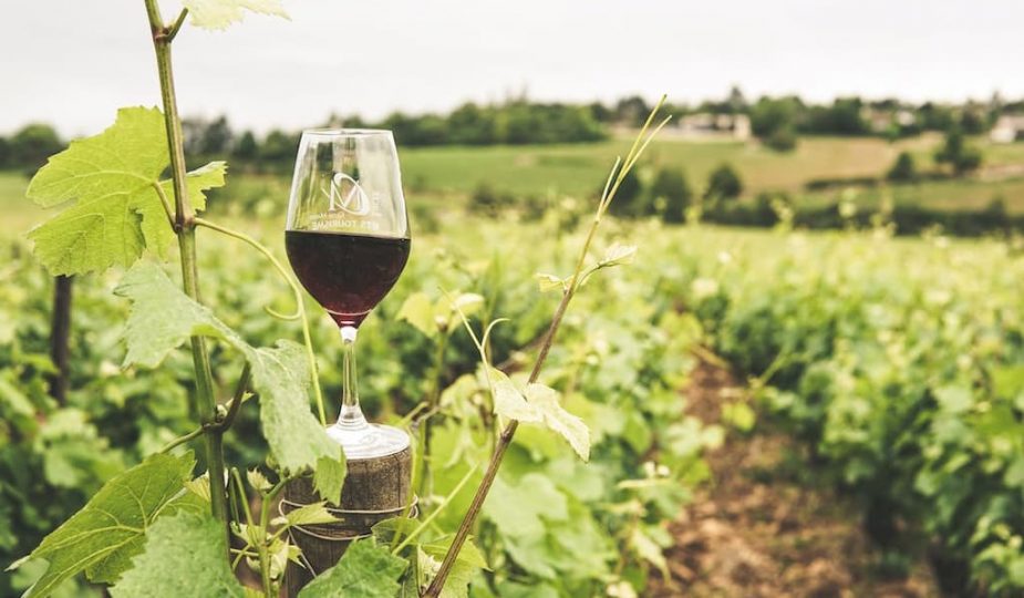 Découvrez l'Élixir des Côtes Roannaises une odyssée viticole à la Française