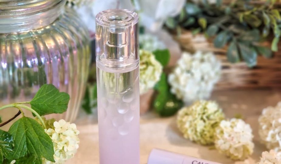 Le coffret duo Ange des Vignes Addiction Caudalie