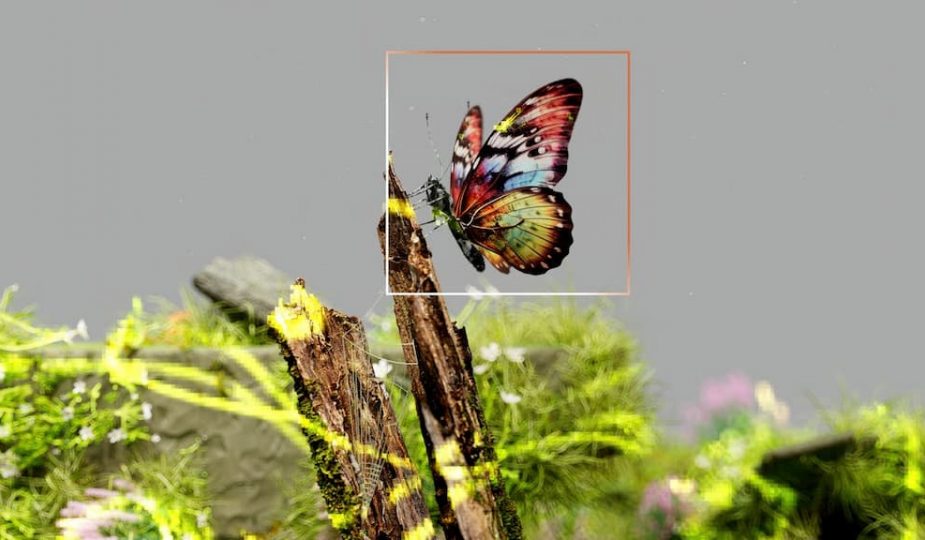 Vivre en harmonie avec la nature adoptez les principes du Leave No Trace