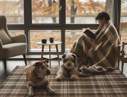 Ma sélection de livres pour l'automne