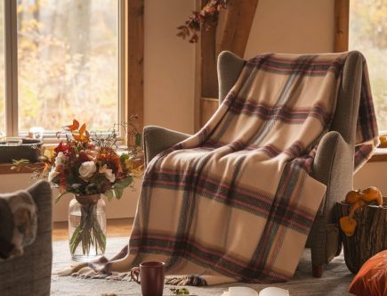 sélection douce et réconfortante pour l'automne