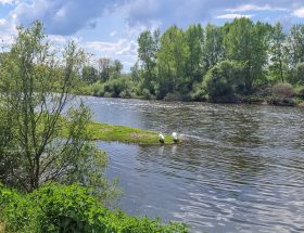 Digital detox en Bourgogne mes spots pour vraiment déconnecter