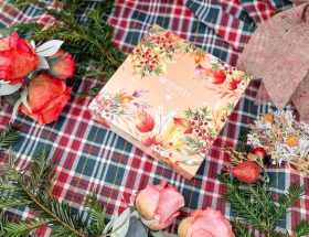 Biotyfull Box novembre 2025 Rituel au Cœur des Rocheuses Canadiennes – une parenthèse cocooning absolue