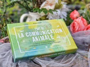 Quand l’invisible nous parle renouer avec la sagesse du monde vivant