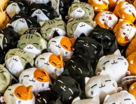 Où trouver des peluches kawaii de qualité