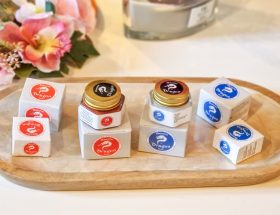 Rouge ou blanc Le guide pour soigner les petits maux du quotidien avec le Baume du Dragon