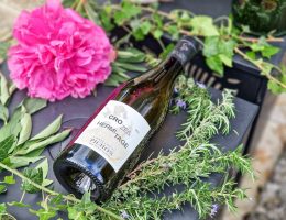  Crozes-Hermitage Blanc 2024 Pichon Père et Fils la fraîcheur du Rhône dans votre verre d'été