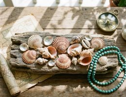 J'ai ramené des coquillages de vacances 10 idées chic pour les transformer en trésors