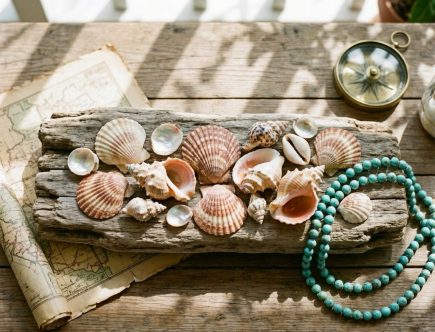 J'ai ramené des coquillages de vacances 10 idées chic pour les transformer en trésors