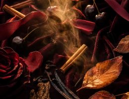 Parfums femme automne 2026 ma sélection rentrée