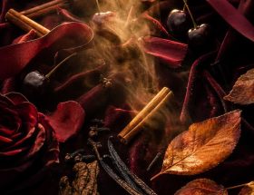 Parfums femme automne 2026 ma sélection rentrée